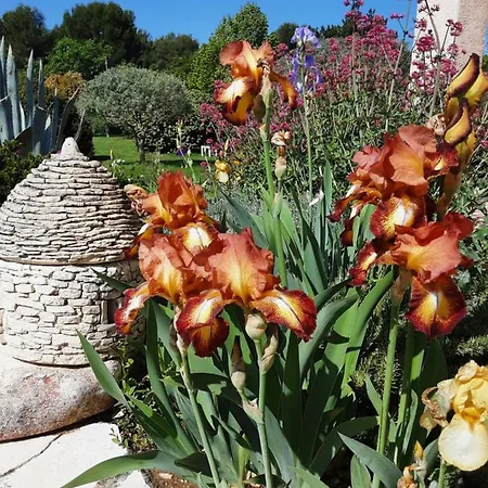 L'eolyre Bed & Breakfast